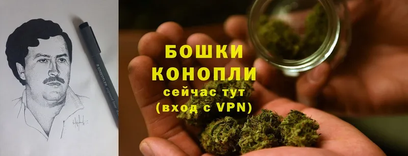 Канабис SATIVA & INDICA  Моздок 